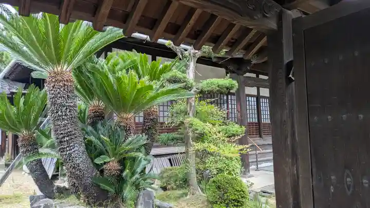 蓮臺寺(京都府)