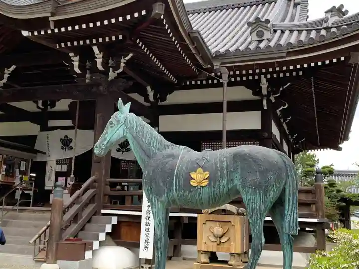 橘寺の狛犬