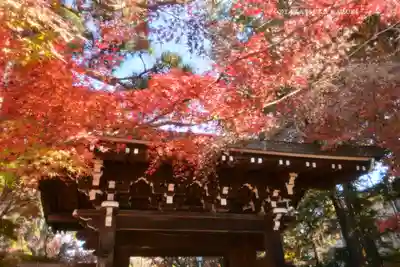 東漸寺(千葉県)