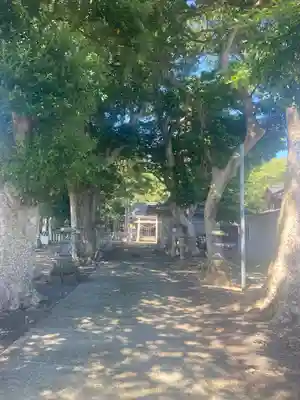 日枝神社(福井県)