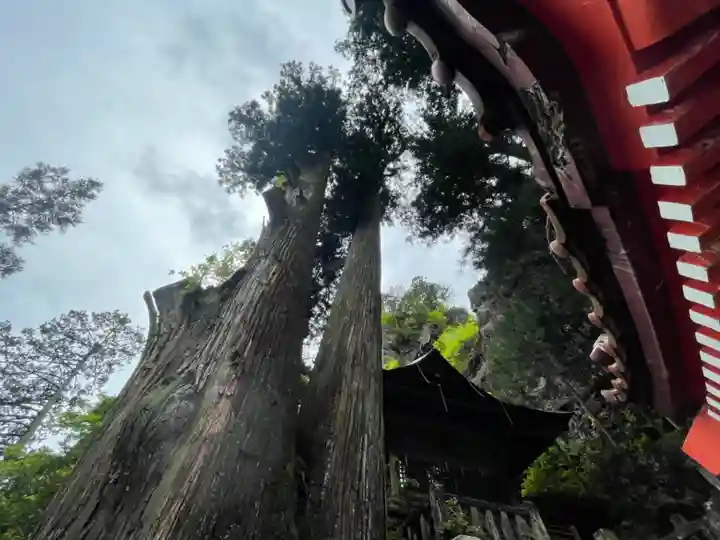 榛名神社の自然