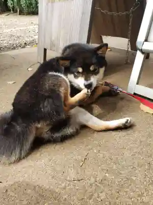 上目黒氷川神社(東京都)