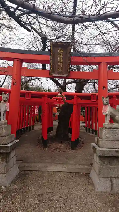 宗像神社の鳥居