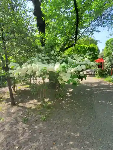 冠稲荷神社の自然