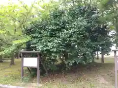 見附の社(石川県)