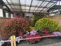 湯島天満宮(東京都)