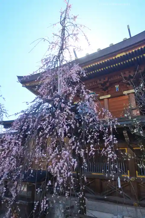 湯島天満宮(東京都)