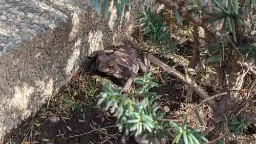 天暁山　一行院(東京都)