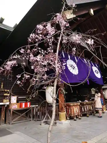 東京大神宮の本殿・本堂
