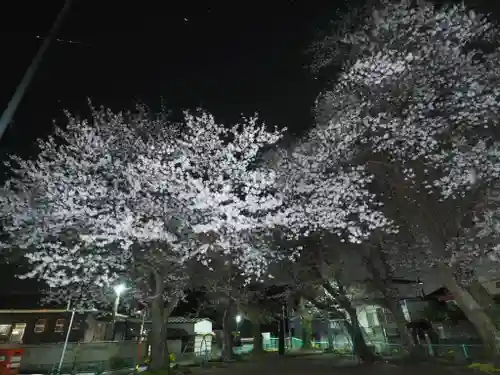 蓮久寺(千葉県)