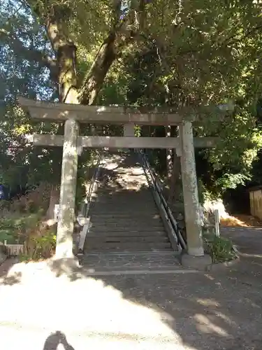 伊豆山神社の鳥居