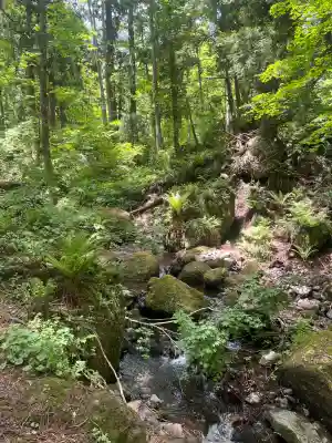戸隠神社奥社(長野県)