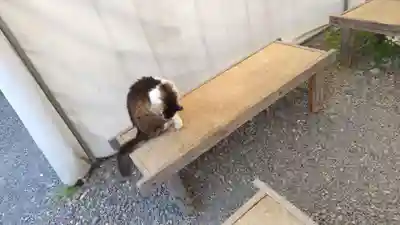 梅宮大社(京都府)