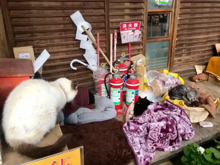 梅宮大社の動物