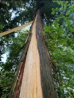 蚊里田八幡宮(長野県)