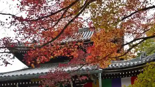 今熊野観音寺のその他建物