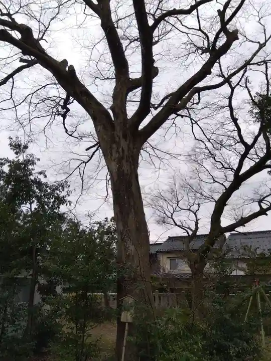 伊勢玉神社(富山県)
