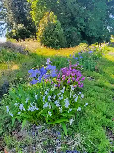 只上神社の自然