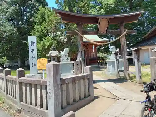 柳原神社(長野県)