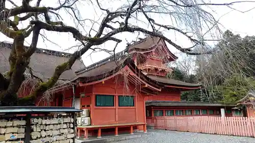 富士山本宮浅間大社の本殿・本堂