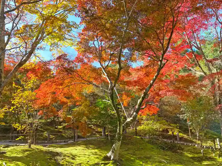 天龍寺(京都府)