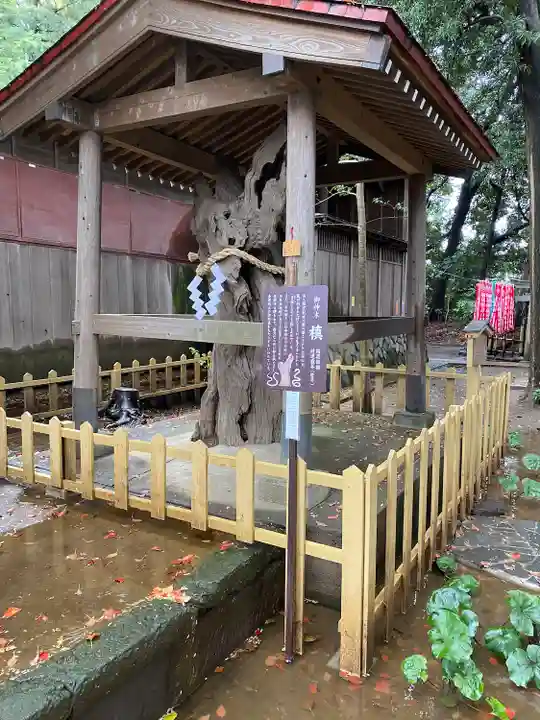 鶴嶺八幡宮(神奈川県)