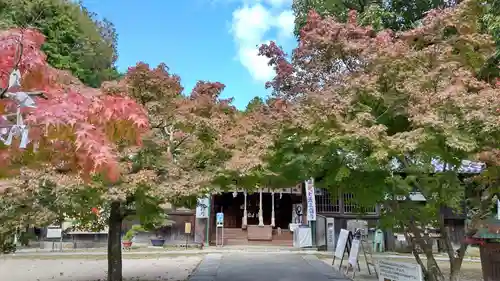 牛窓神社の自然