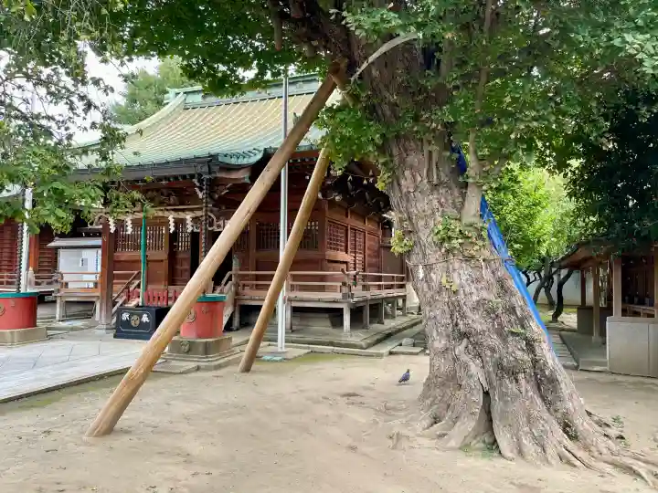 岩淵八雲神社(東京都)