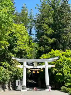 宝登山神社(埼玉県)