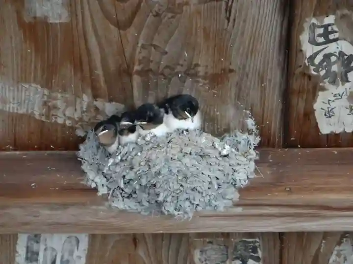 大御堂寺(野間大坊)(愛知県)