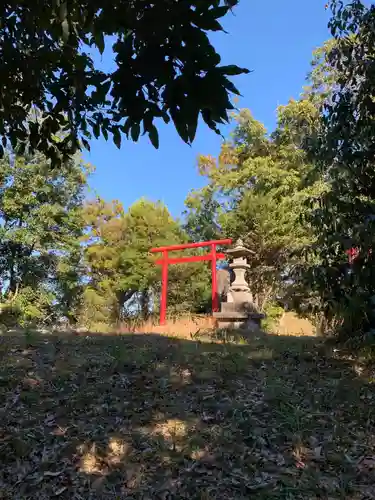 玉前神社の鳥居