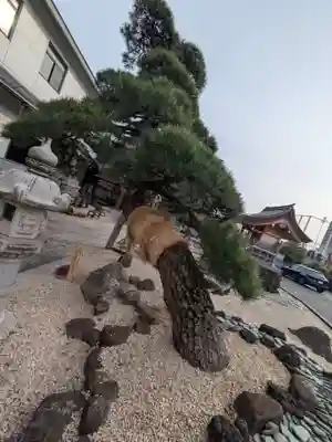 瑞光寺(東京都)