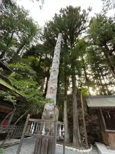 諏訪大社下社春宮(長野県)