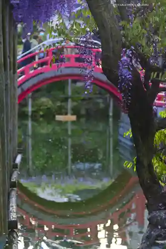 亀戸天神社(東京都)