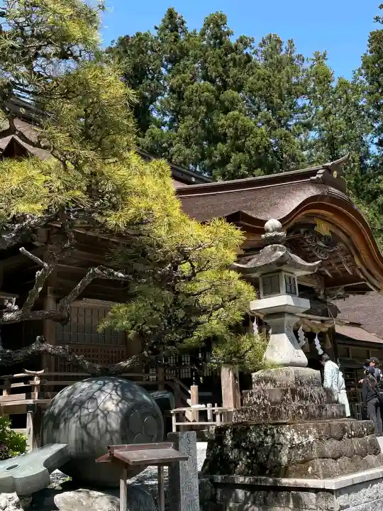 小國神社の{uncategorized: "未分類", other: "その他", undefined: "問題あり", building: "その他建物", grave: "お墓", sacred_gate: "鳥居", guardian: "狛犬", statue: "像", buddha: "仏像", history: "歴史", nature: "自然", garden: "庭園", animal: "動物", pagoda: "塔", temizu: "手水舎", mountain_gate: "山門・神門", sanctuary: "本殿・本堂", subordinate: "末社・摂社", art: "芸術", scenery: "景色", jizo: "地蔵", ema: "絵馬", goshuin: "御朱印", omikuji: "おみくじ", items: "授与品その他", amulet: "お守り", goshuincho: "御朱印帳", eats: "食事", festival: "お祭り", votive_dance: "神楽", shichigosan: "七五三参", wedding: "結婚式", experience: "体験その他", initially: "初詣", around: "周辺", anti_infection: "感染症対策"}