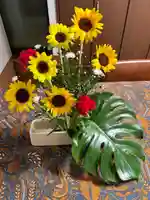 安用寺(愛知県)