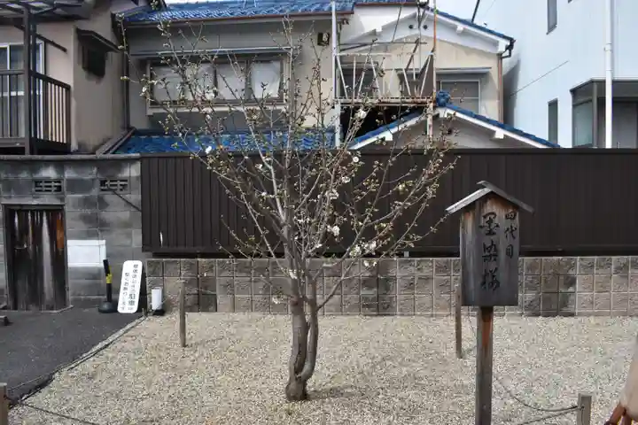 墨染寺(桜寺)(京都府)