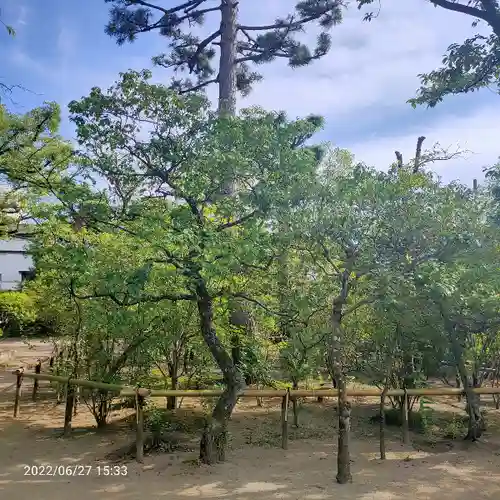 白幡天神社(千葉県)