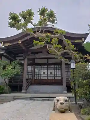南松寺(東京都)