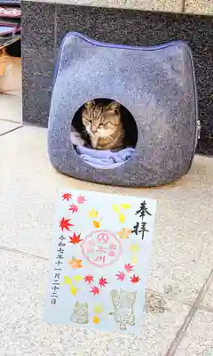 白金氷川神社の御朱印