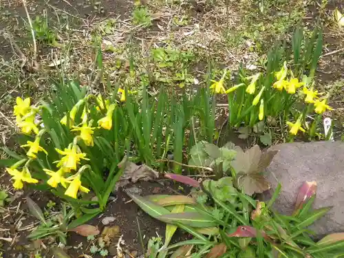 大巧寺のその他建物