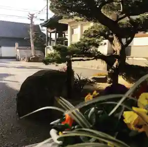 信行寺(福岡県)(2021年02月09日(火) 10時12分53秒投稿)