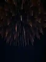 金枝白蛇大権現(栃木県)