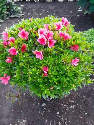 伏木香取神社の自然