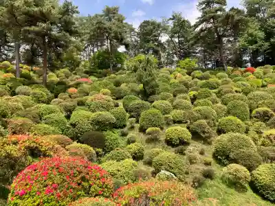 塩船観音寺の{uncategorized: "未分類", other: "その他", undefined: "問題あり", building: "その他建物", grave: "お墓", sacred_gate: "鳥居", guardian: "狛犬", statue: "像", buddha: "仏像", history: "歴史", nature: "自然", garden: "庭園", animal: "動物", pagoda: "塔", temizu: "手水舎", mountain_gate: "山門・神門", sanctuary: "本殿・本堂", subordinate: "末社・摂社", art: "芸術", scenery: "景色", jizo: "地蔵", ema: "絵馬", goshuin: "御朱印", omikuji: "おみくじ", items: "授与品その他", amulet: "お守り", goshuincho: "御朱印帳", eats: "食事", festival: "お祭り", votive_dance: "神楽", shichigosan: "七五三参", wedding: "結婚式", experience: "体験その他", initially: "初詣", around: "周辺", anti_infection: "感染症対策"}