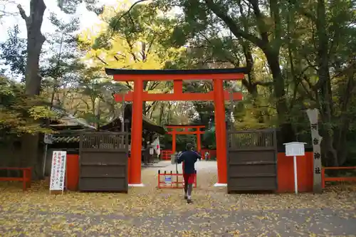 河合神社（鴨川合坐小社宅神社）の鳥居