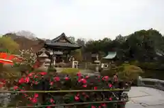 神泉苑の建物その他