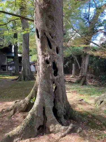 金村別雷神社(茨城県)