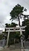 菊田神社の鳥居