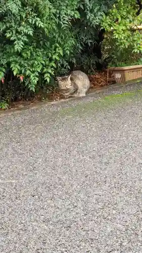 白金氷川神社(東京都)